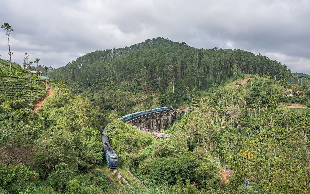 7-Day Classic - Sri Lanka tour - private driver and tour operator